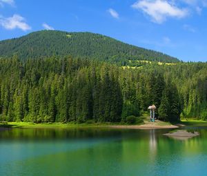 Комплекс 