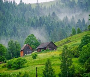 Комплекс 