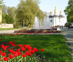Екскурсія 