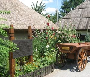Чарівна Полтава (музей гончарства, Дуби Кочубея, Диканька, Мгарський монастир) 