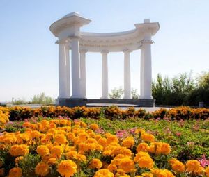 Чарівна Полтава (музей гончарства, Дуби Кочубея, Диканька, Мгарський монастир) 
