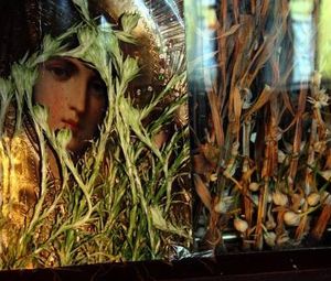 м.Одеса, м. Белгород-Дністровський та 
