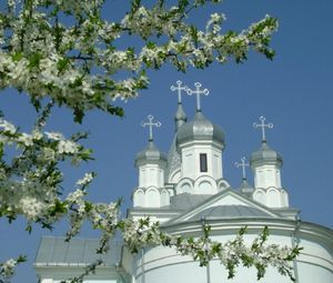 м.Житомир (Денеші)