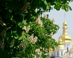Оглядова екскурсія по столиці