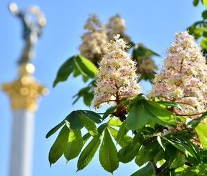 Оглядова екскурсія по столиці