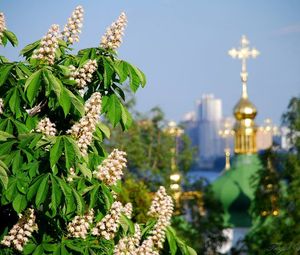 Оглядова екскурсія по столиці
