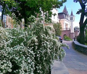 Оглядова екскурсія по столиці