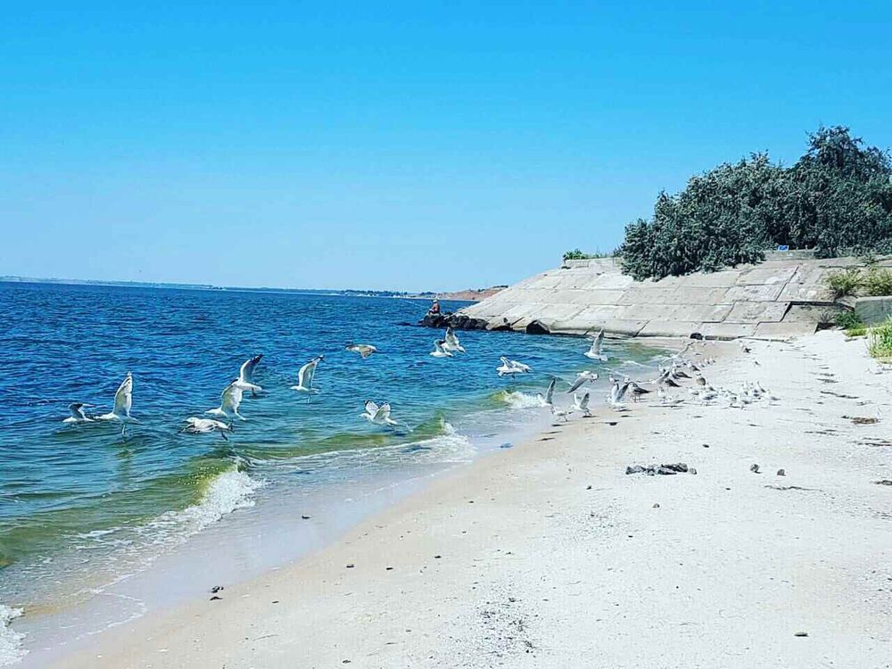 Mykolayiv Ochakov
